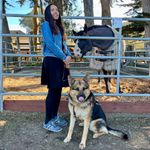 Milo, a black horse with a white blaze, pokes his head through the fence of his paddock to sniff my hands. Beside me, Mylo, my German Shepherd dog, wears a goofy smile with his tongue licking his nose. Photo by our friend & equestrian guide Lauren Janicki.