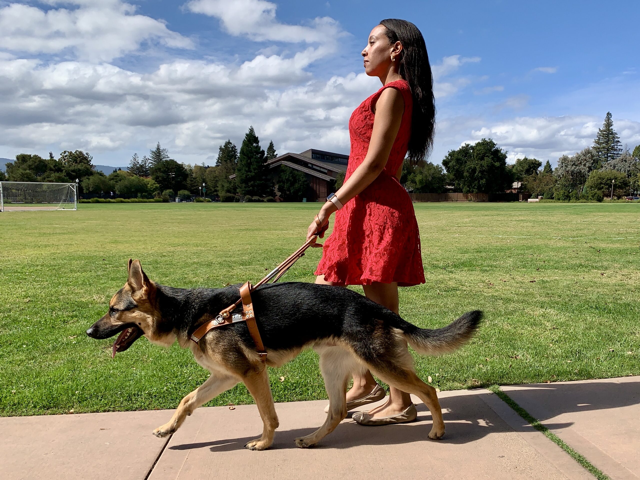 Mylo & Haben Walking Through a Park