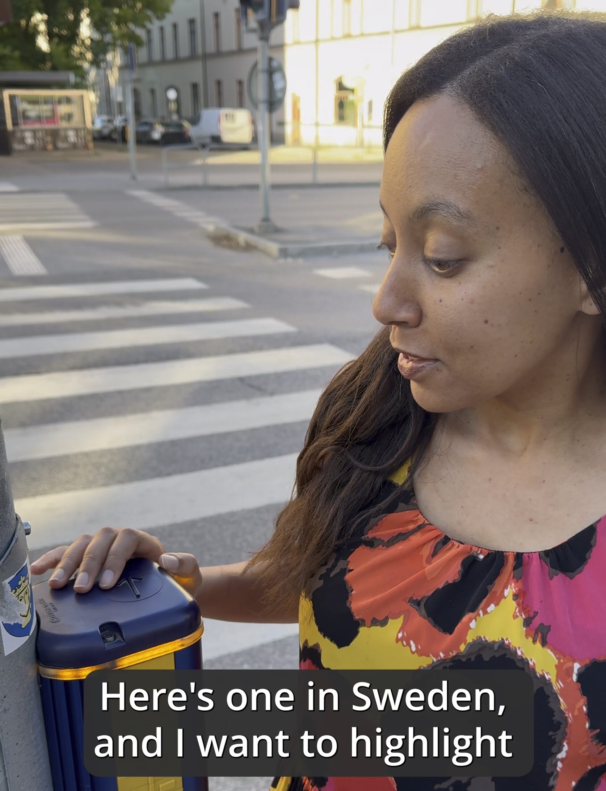 Haben inspects a Swedish traffic signal